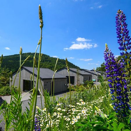 Sauerland Lodge - Haus Juliana Винтерберг Экстерьер фото