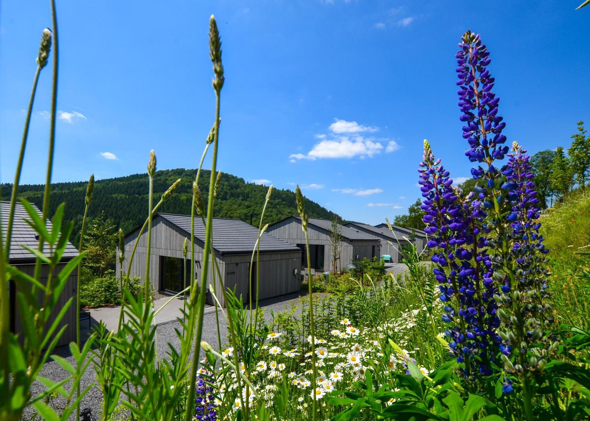 Sauerland Lodge - Haus Juliana Винтерберг Экстерьер фото